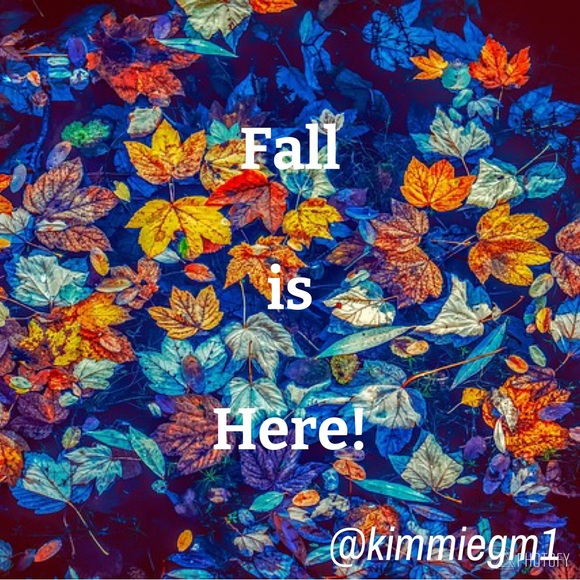 Happy Fall! Sweaters, jeans, jackets, boots, beanies and more available here! - Picture 2 of 3